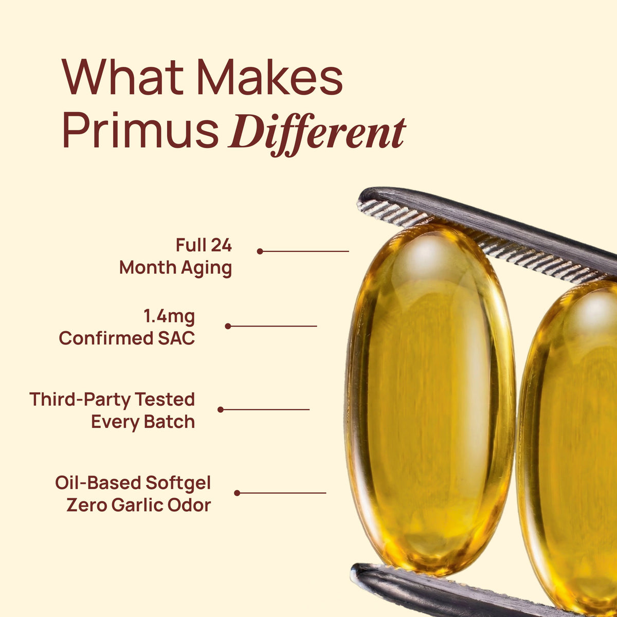 Primus | Aged Garlic Extract